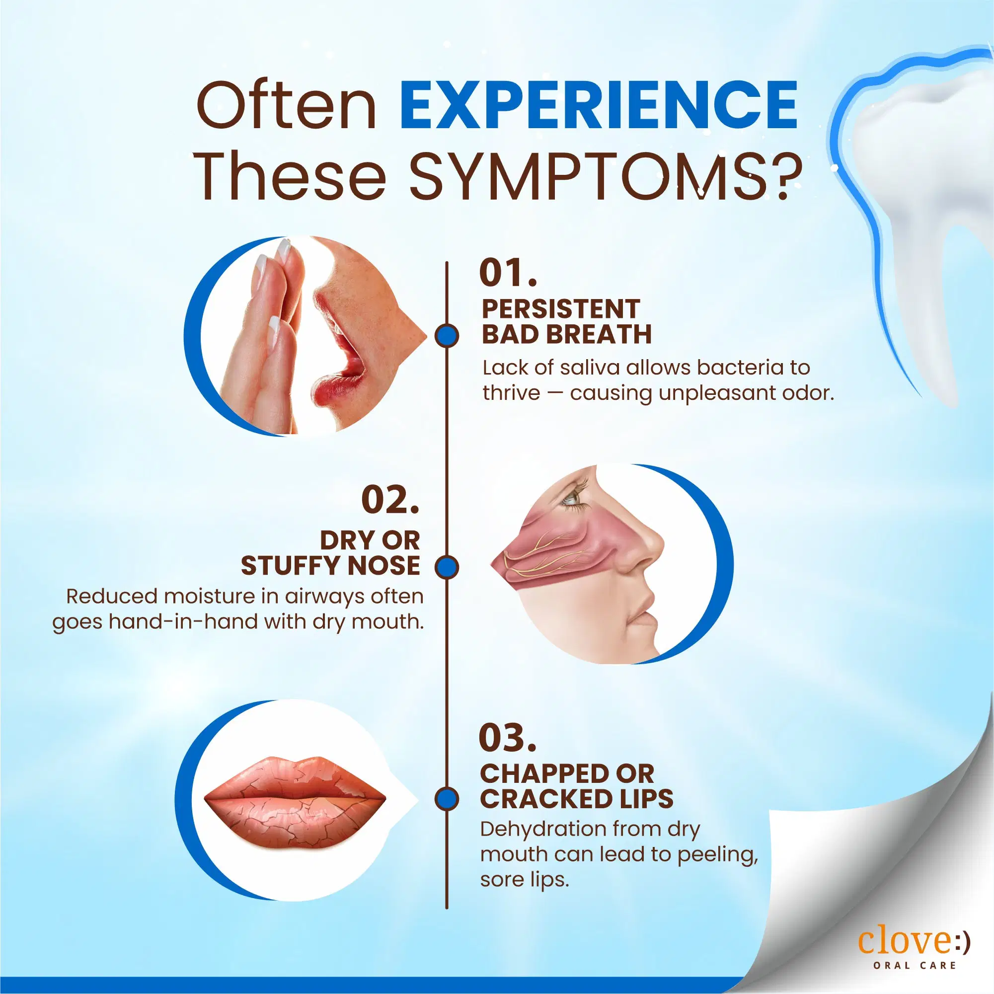 Clove Hydrate Toothpaste for Dry Mouth Relief & Saliva Support - Image 6