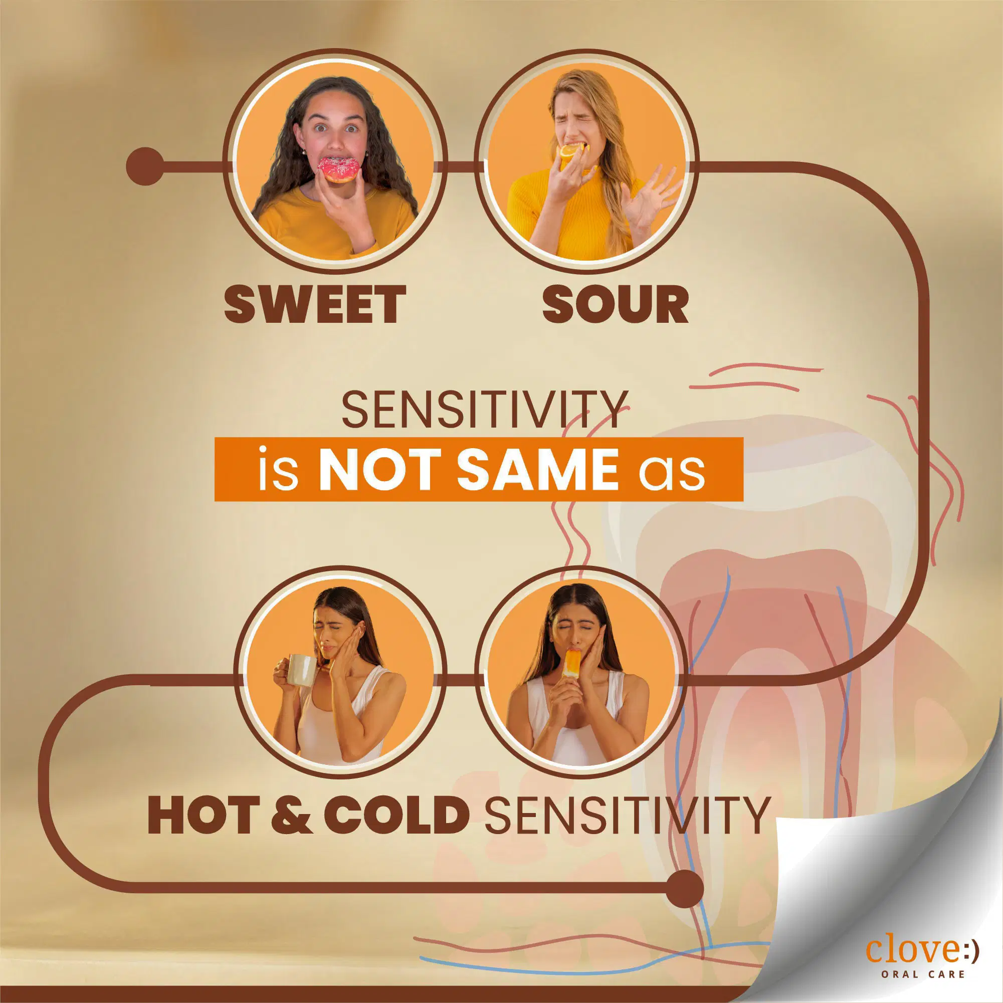 Clove Sensitive Combo - Image 6