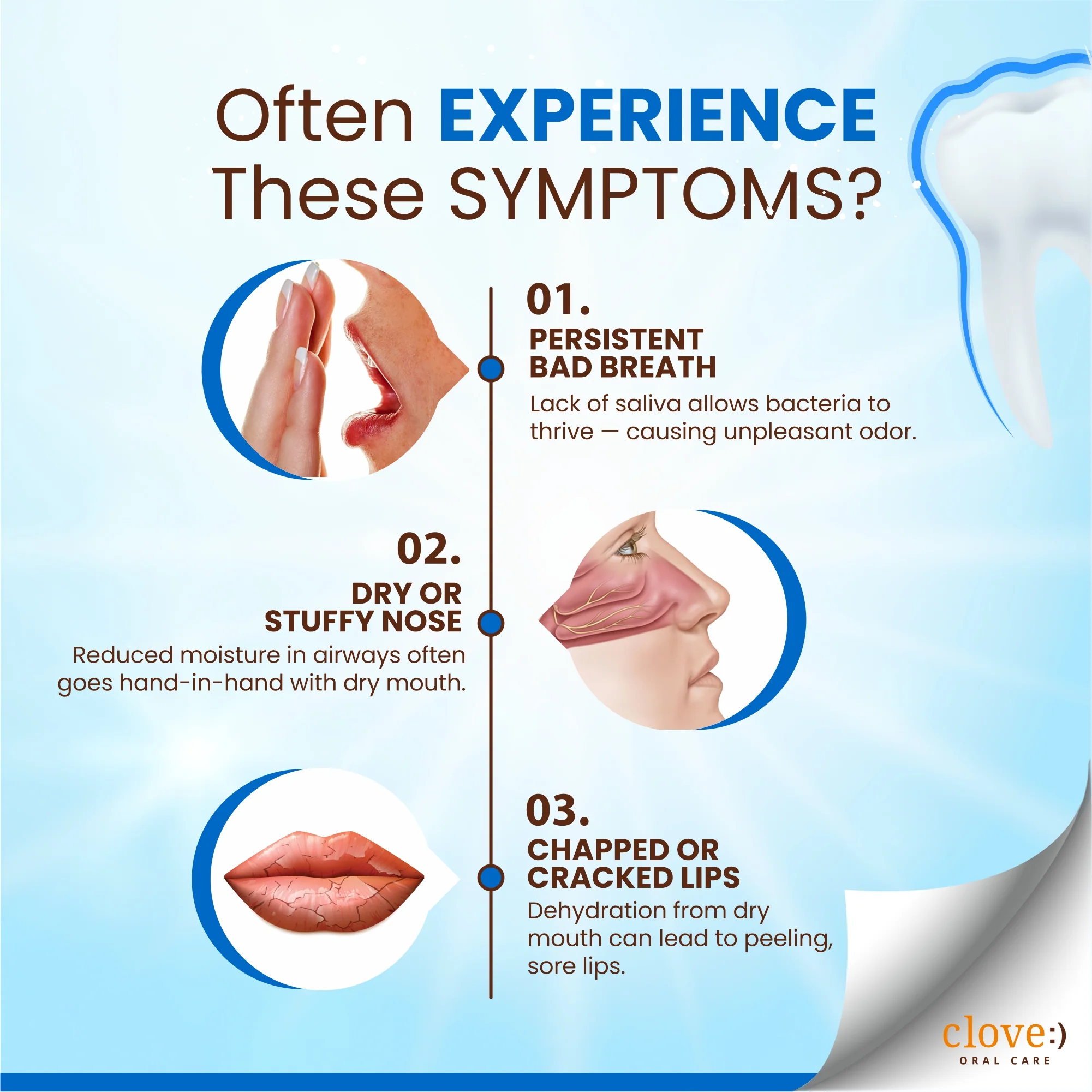Clove Hydrate Combo - Image 9